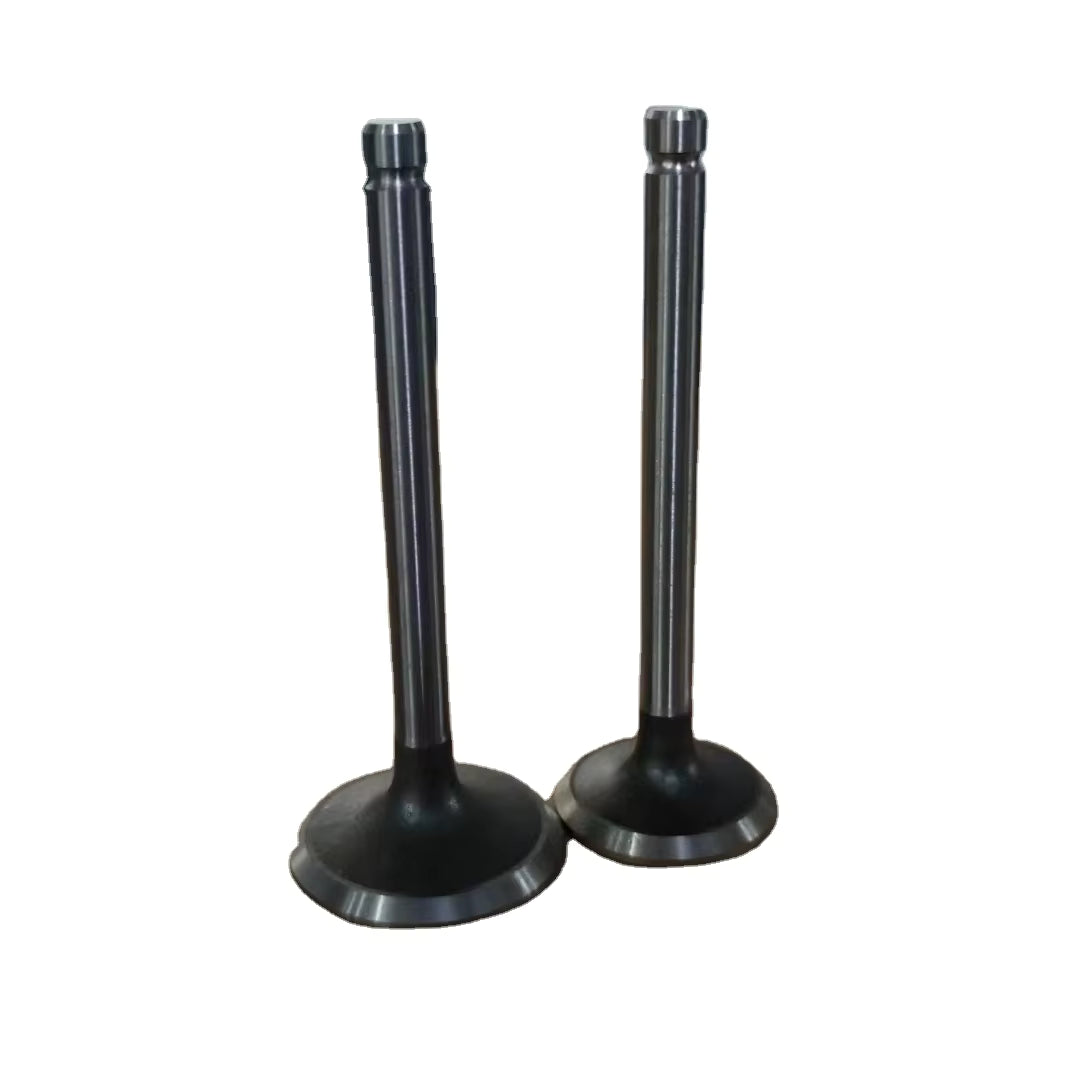 Valvulas IN Kia K2700 J2