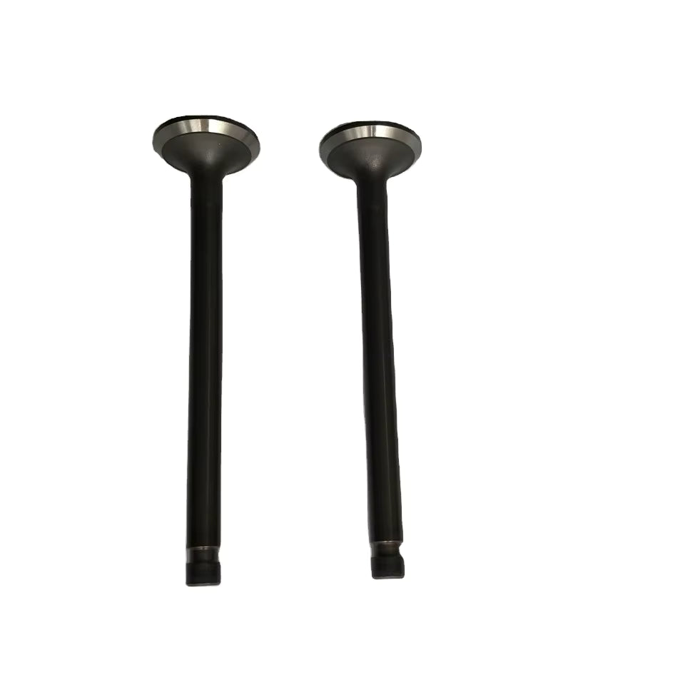 Valvulas IN Mitsubishi Montero 4D55