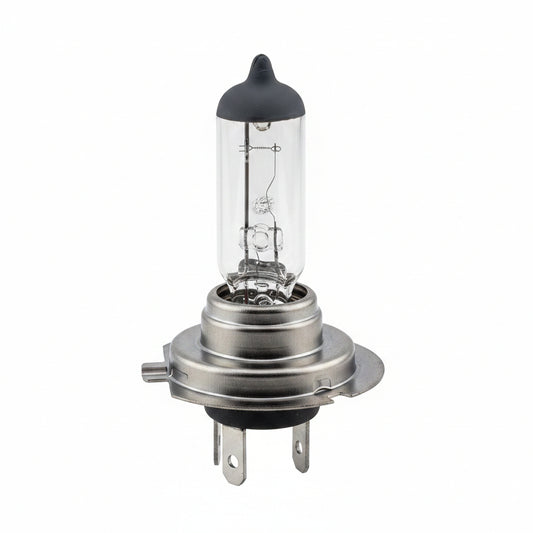Bombillo halógeno H7 económico 12V 100W