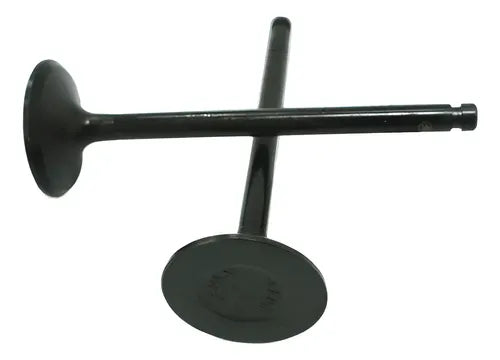 Valvulas IN Mitsubishi 4D34