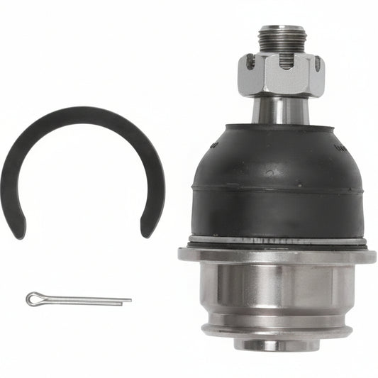 Rótula Inferior Toyota Hilux Vigo Fortuner R/L 2004 a 2014 (DAICHI)