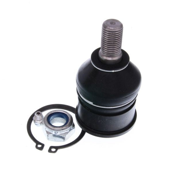 Rótula Inferior Honda Accord Odyssey R/L 1997 en adelante (DAICHI)
